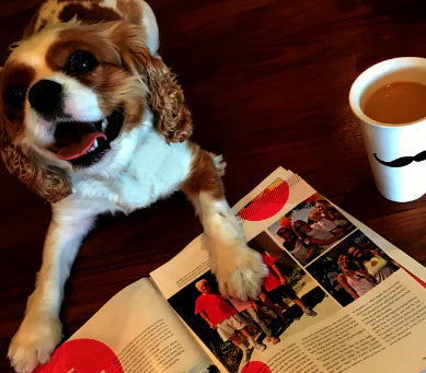 Dog with a paw on an open book next to a cup of coffee on a wooden table